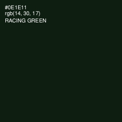 #0E1E11 - Racing Green Color Image